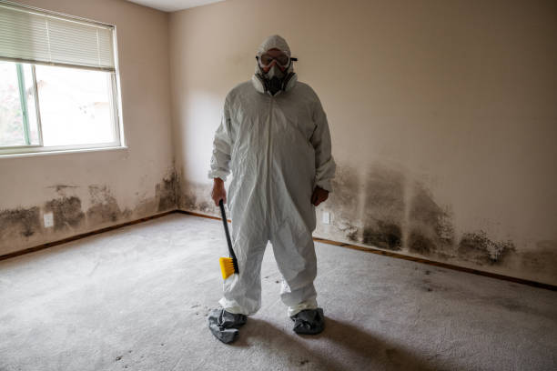 Best Office Mold Removal Services  in Rutgers University Busch Campus, NJ